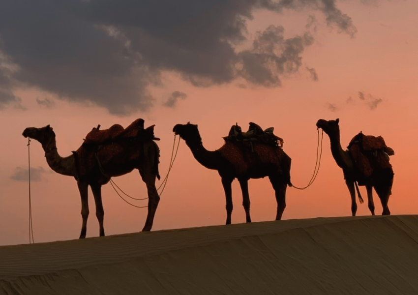 Trek en groupe désert